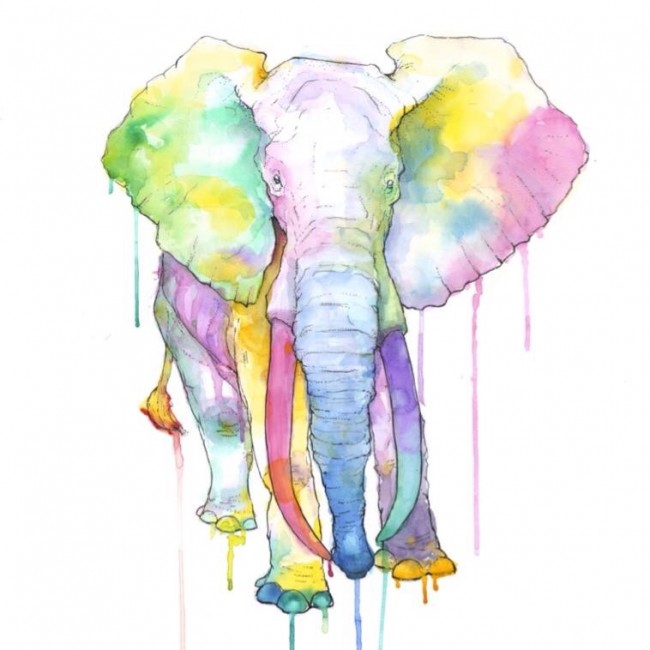 650x650 Chef Sketch Water Color Wonder - Chef Sketch