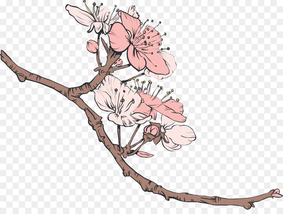 900x680 Cherry Blossom Illustration - Cherry Blossom Branch Sketch