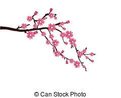 240x195 Cherry Blossom Branch Black Background Clipart - Cherry Blossom Branch Sketch