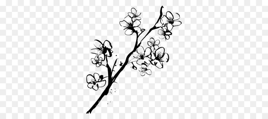 900x400 Drawing Cherry Blossom Sketch - Cherry Blossom Branch Sketch