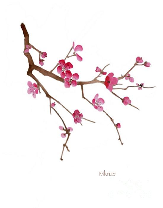 550x700 Drawn Ume Blossom Sakura Tree - Cherry Blossom Branch Sketch