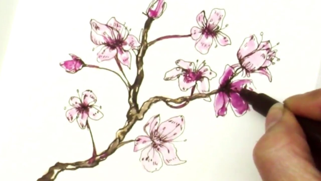 1280x720 Easy How To Draw A Sakura Cherry Blossom Branch - Cherry Blossom Branch Sketch
