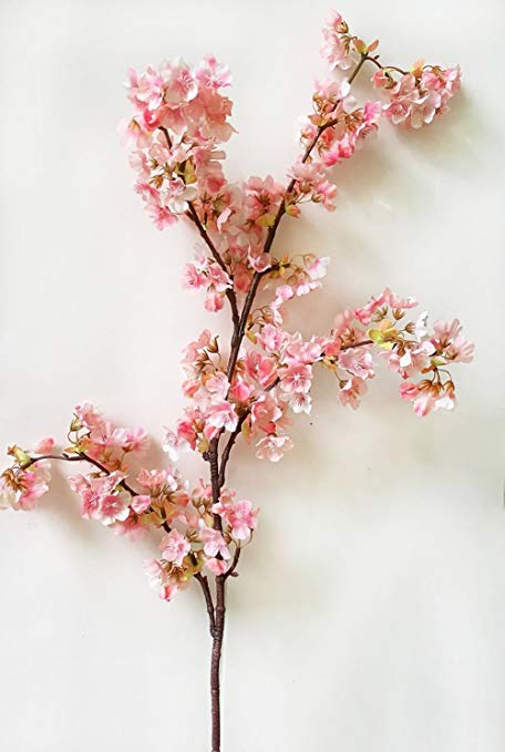 456x679 Gallery Cherry Blossom Stems Artificial, - Cherry Blossom Branch Sketch