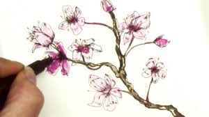 300x168 Blossom Flower Sakura Sketch Pretty - Cherry Blossom Branch Sketch
