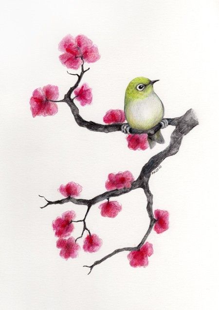 450x635 Ume Blossom Clipart Pencil Sketch - Cherry Blossom Branch Sketch