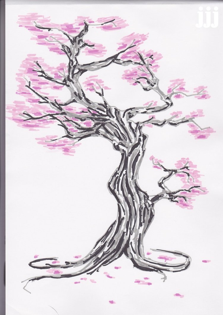 752x1063 Cherry Blossom Branch Sketch - Cherry Blossom Branch Sketch