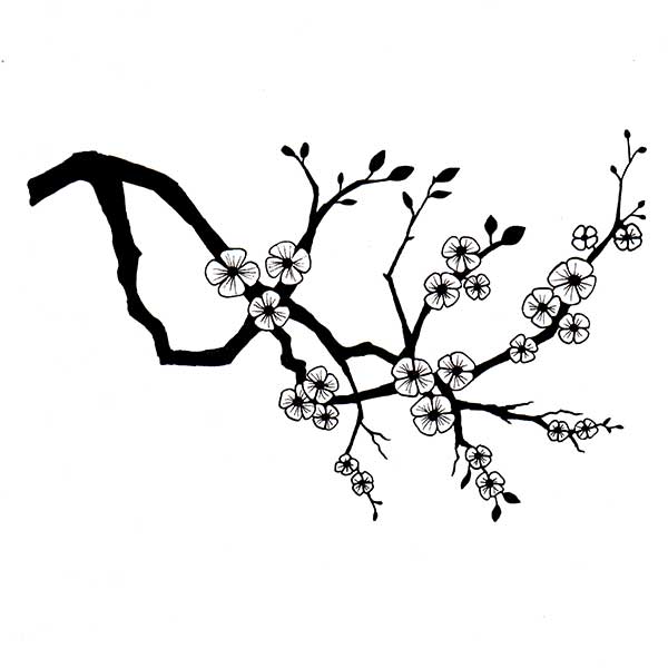 Cherry Blossom Branch Sketch At Explore Collection Of Cherry Blossom Branch 