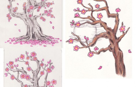470x300 Cherry Blossoms Tattoo Sketch Tattoos Designs Ideas - Cherry Blossom Sketch