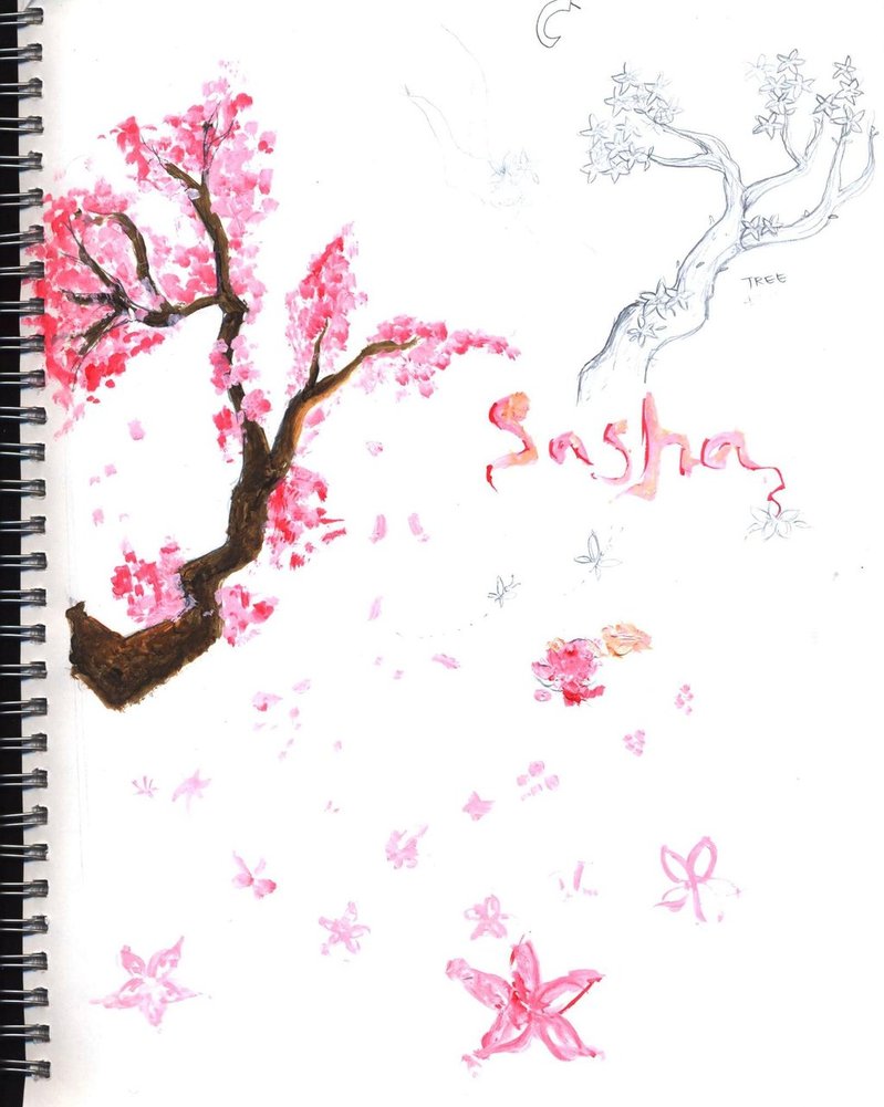 799x1001 Cherry Blossom - Cherry Blossom Sketch