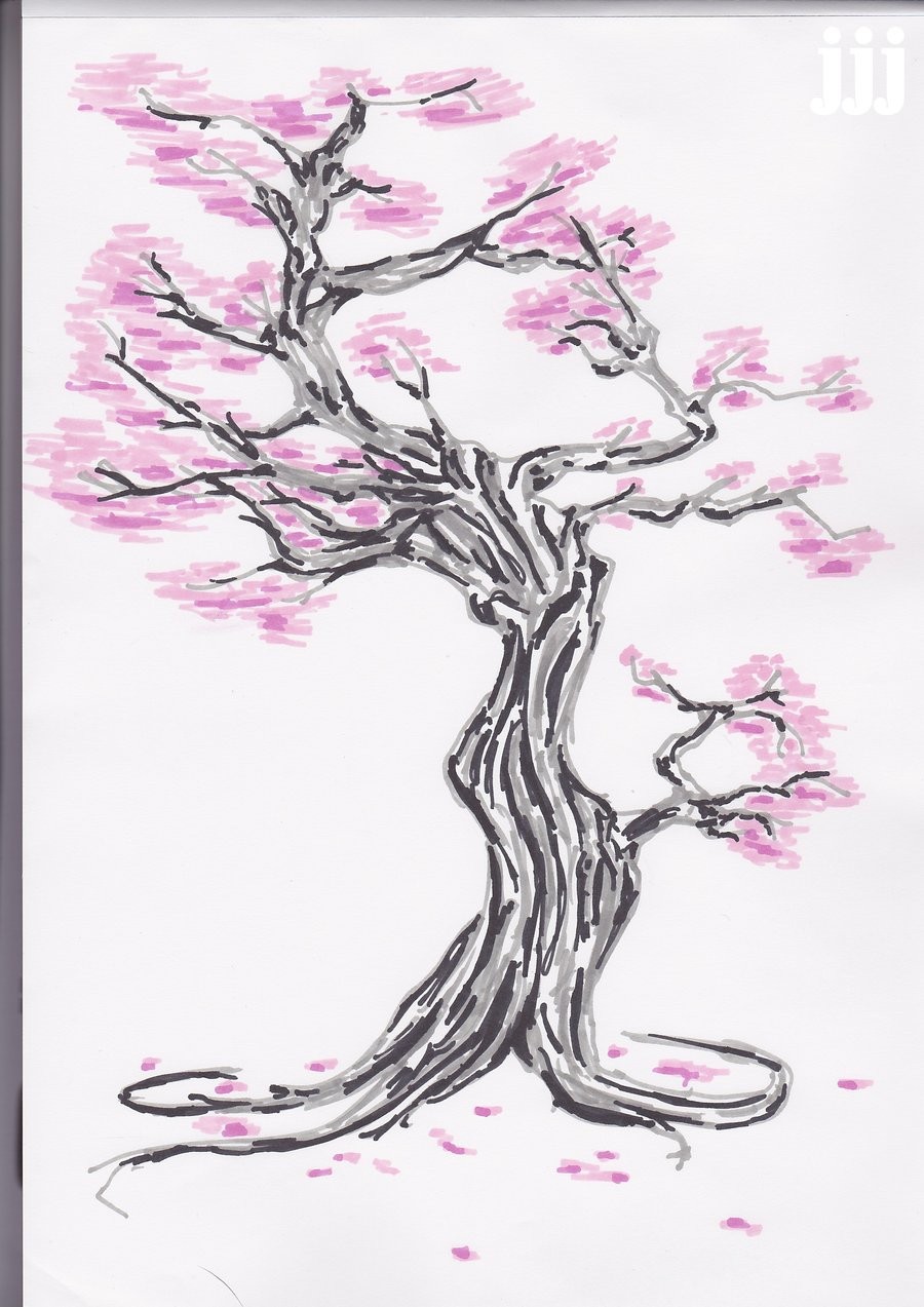 900x1273 Cherry Blossom Tree Drawing Step By 58 Sketches Of Trees - Cherry Blossom Tree Sketch