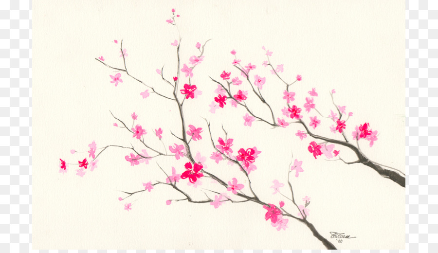 900x520 Cherry Blossom Drawing Pencil Sketch - Cherry Blossom Tree Sketch