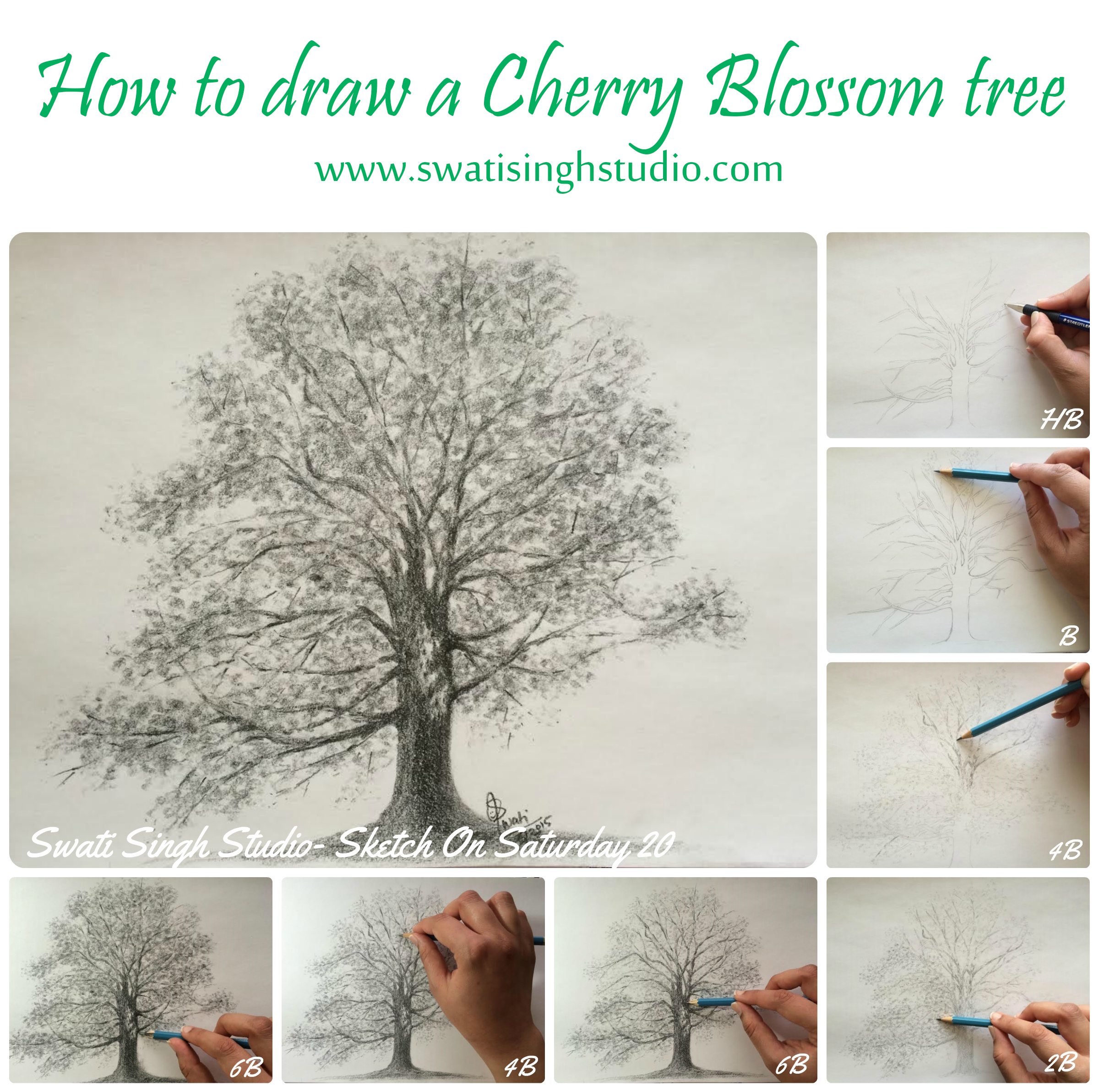 2400x2384 Swati Singh Art Blog - Cherry Blossom Tree Sketch
