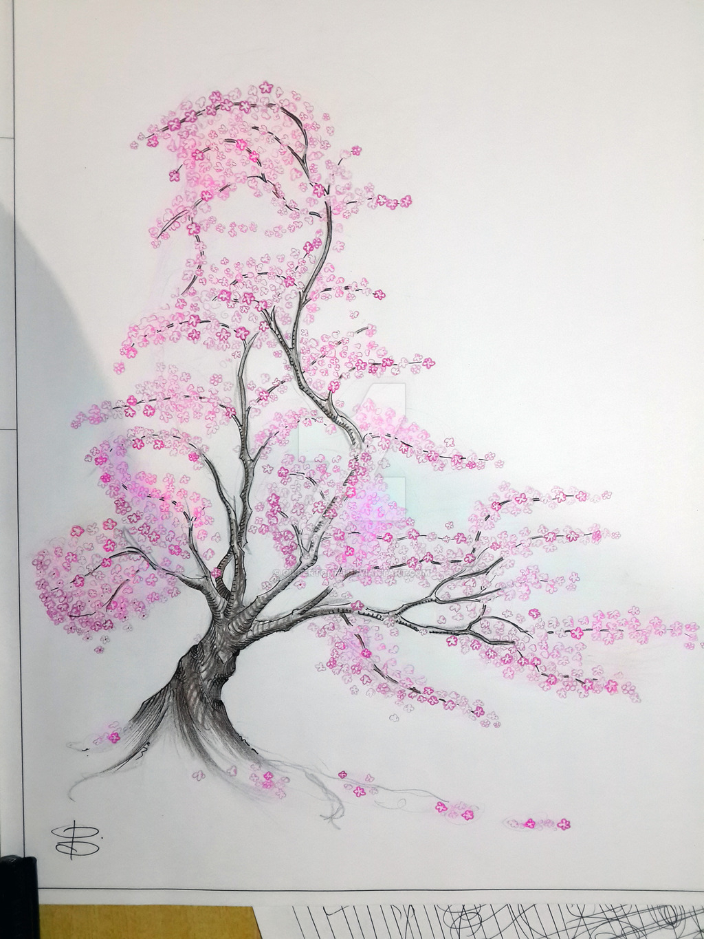 Cherry Blossom Tree Sketch at PaintingValley.com | Explore collection ...