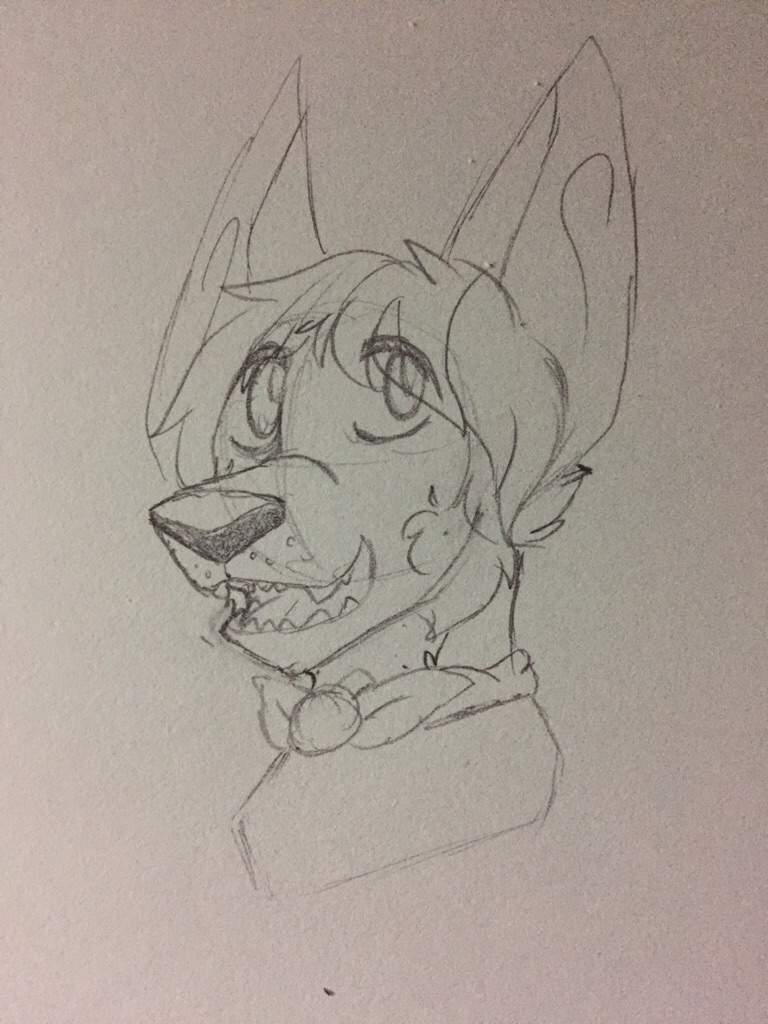 768x1024 Cherry Sketch Lupisvulpes Amino - Cherry Sketch