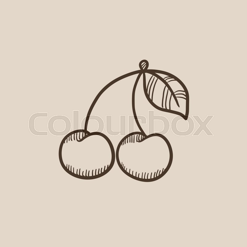 800x800 Cherry Sketch Icon For Web, Mobile And Infographics. Hand Drawn - Cherry Sketch