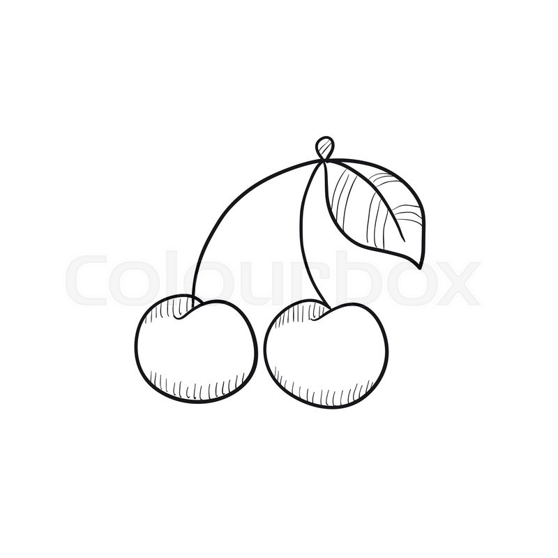 800x800 Cherry Vector Sketch Icon Isolated On Background. Hand Drawn - Cherry Sketch