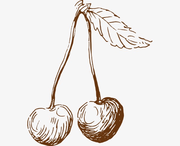 600x487 Vector Sketch Cherry, Vector, Sketch, Cherry Png And Vector For - Cherry Sketch