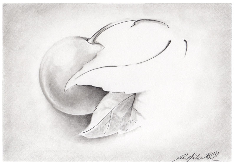 800x561 Cherry Storydoors - Cherry Sketch