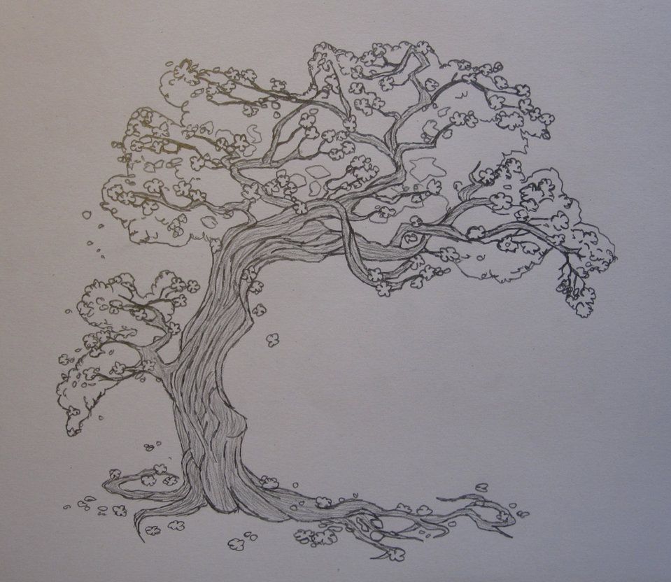 959x832 Cherry Tree Sketch Random Tree Sketches, Sketches - Cherry Tree Sketch