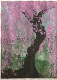 236x329 45 Best Cherry Blossom Sketches Images Florales - Cherry Tree Sketch