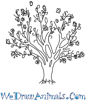 300x350 How To Draw A Cherry Tree - Cherry Tree Sketch