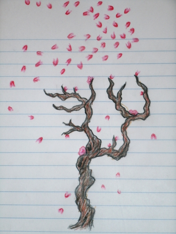 600x800 Cherry Blossom Tree Sketch By Animalluver1985 - Cherry Tree Sketch