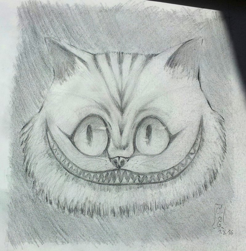 800x816 Cheshire Cat Sketch By Co0kie Cat - Cheshire Cat Sketch