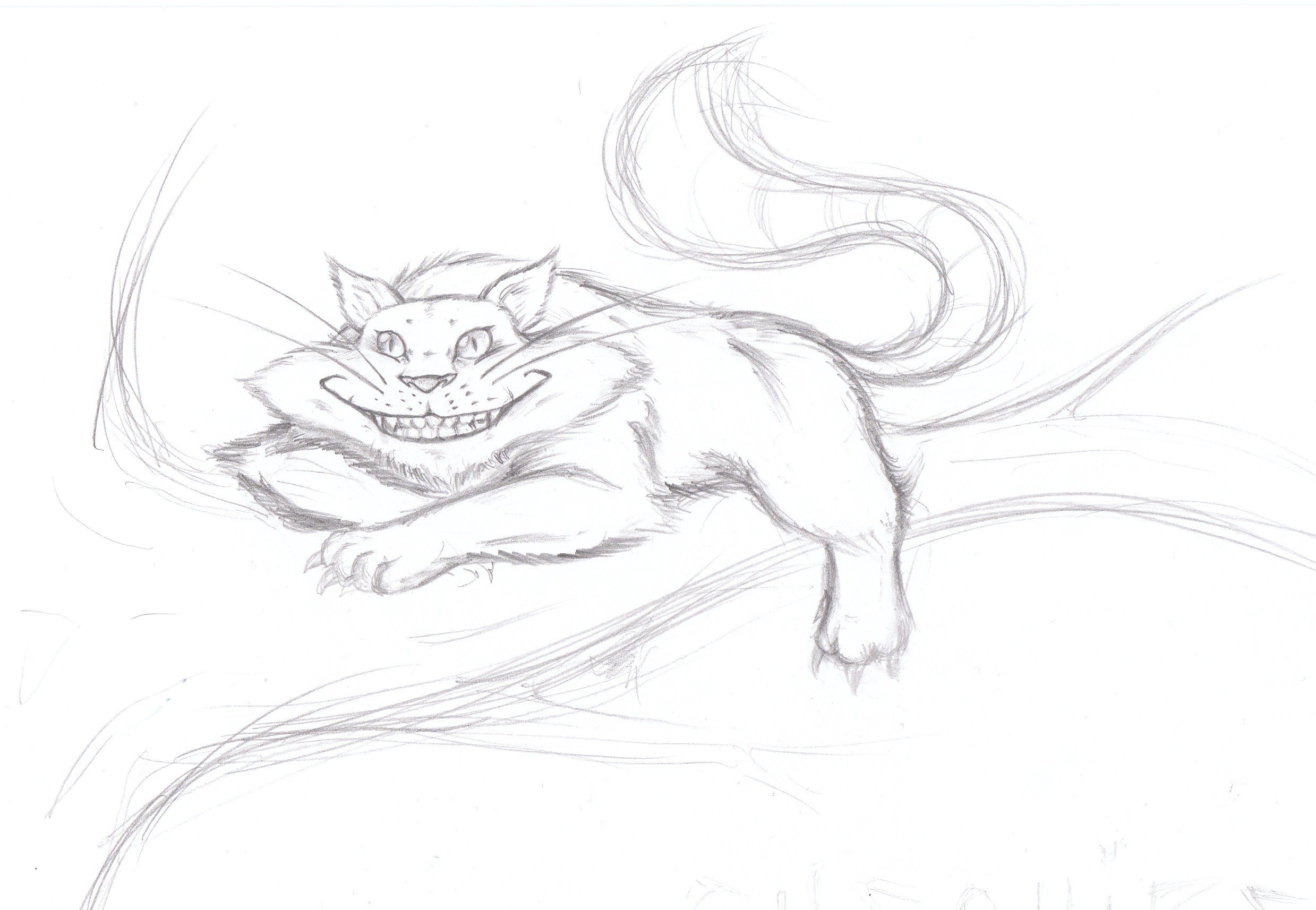 2478x1714 Cheshire Cat Sketch - Cheshire Cat Sketch