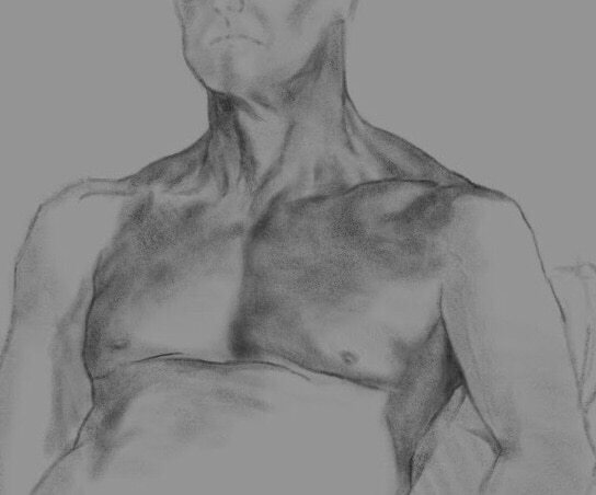 544x452 Figure Drawing Chest And Neck Study Adam Miconi Artwork - Chest Sketch