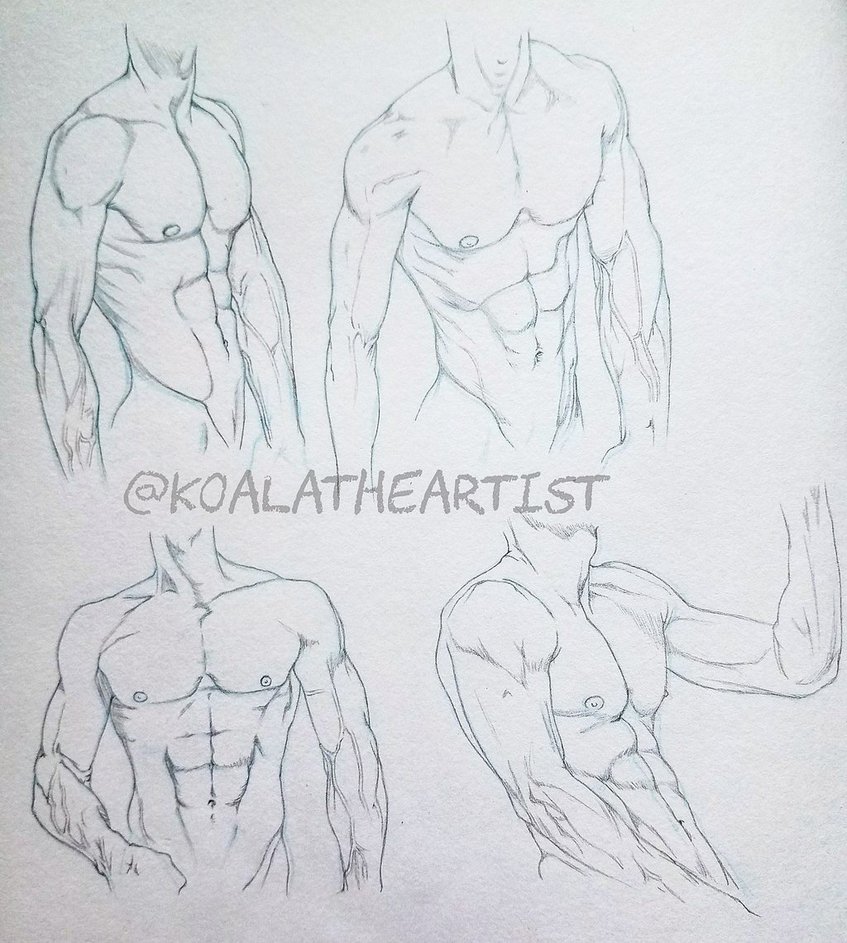 847x943 Male Anatomy 2 (Chest Abs) By Koalatheartist - Chest Sketch