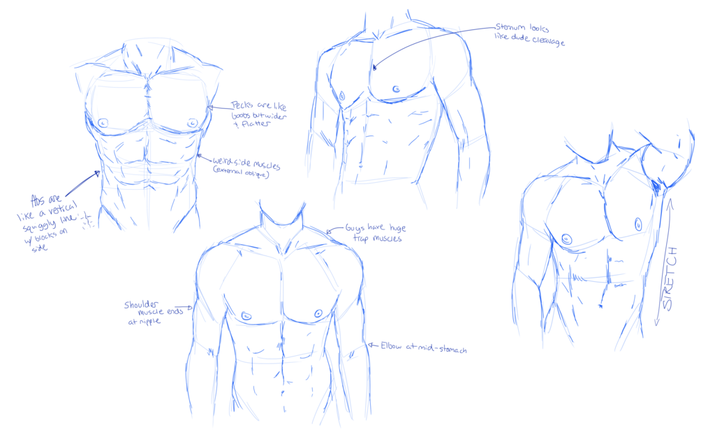 1024x635 Man Chest Sketches By Bowtiemysoul - Chest Sketch