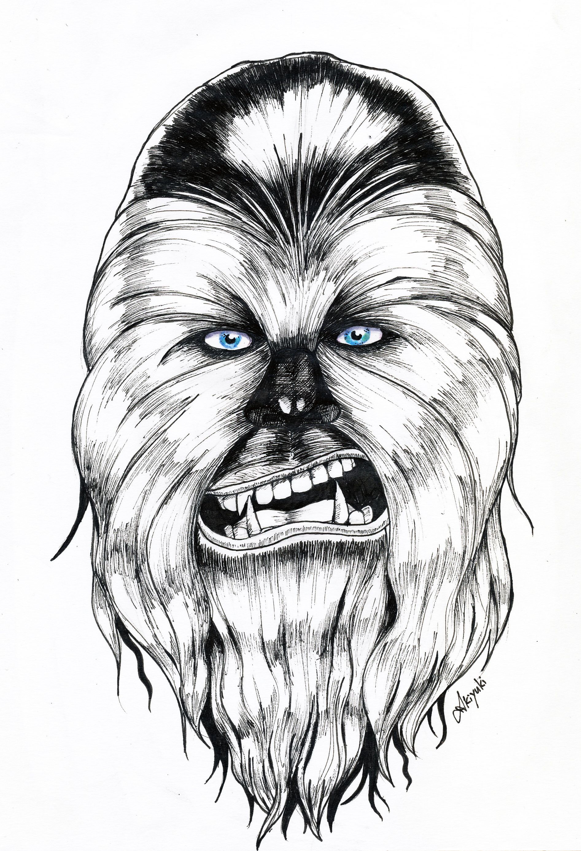 1893x2773 Illustration - Chewbacca Sketch