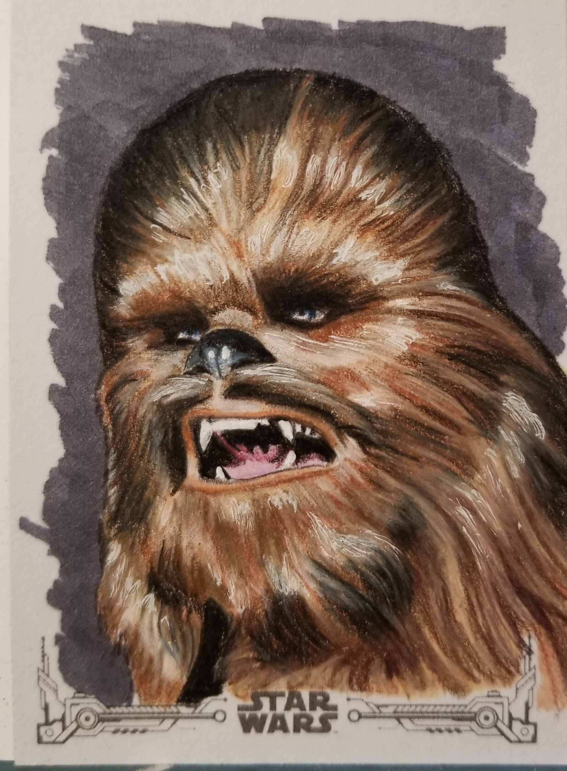 Chewbacca Sketch at Explore collection of