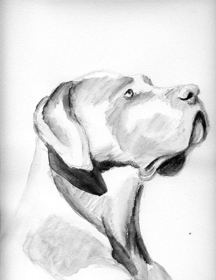 700x907 Chiaroscuro Pencilwash Sketches - Chiaroscuro Sketch