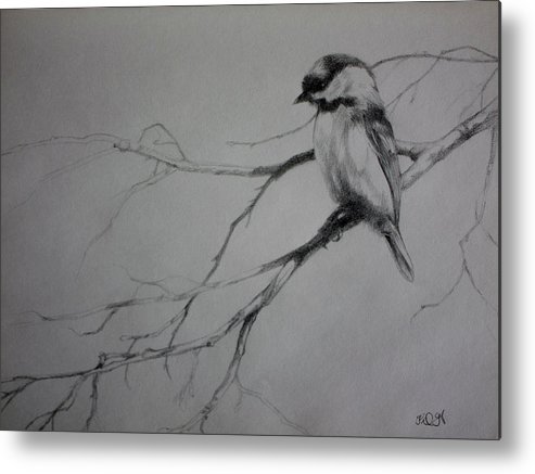 493x437 Chickadee Sketch Metal Print By Derrick Higgins - Chickadee Sketch