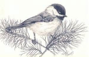 300x192 Chickadee Sketch Thoughts On Tattoos Sketches - Chickadee Sketch