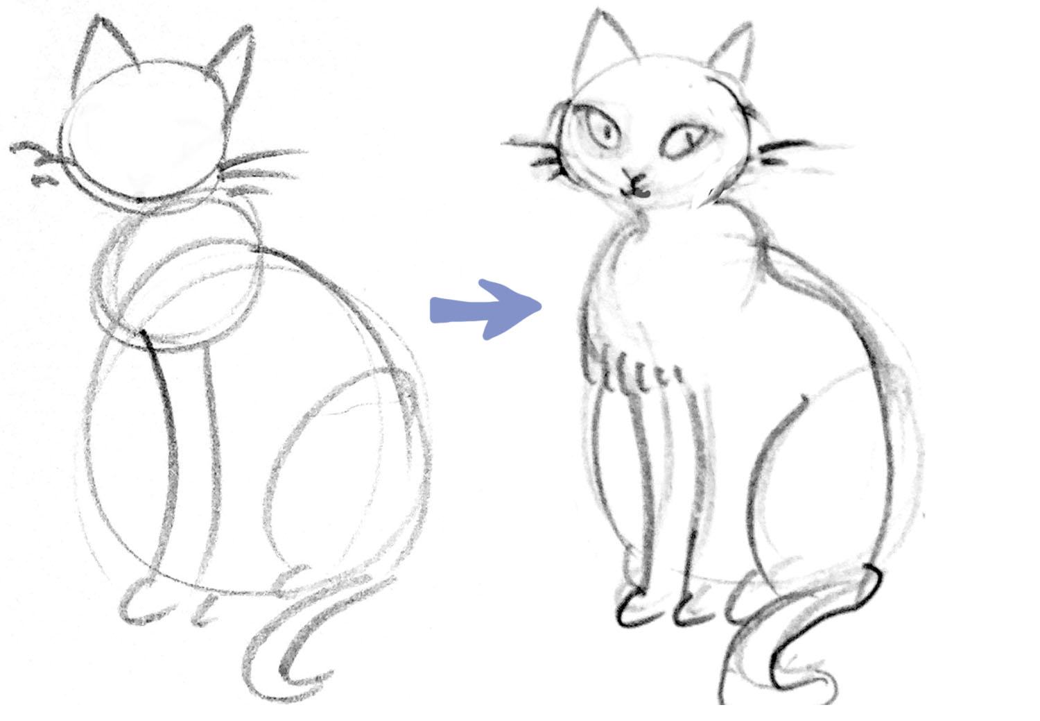 1500x1039 Drawn Chicken Sketch - Chicken Leg Sketch