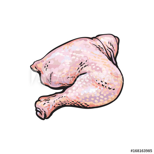 500x500 Vector Chicken Thigh Legs Sketch Illustration. Isolated - Chicken Leg Sketch