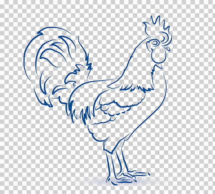 728x658 Chicken Leg Drawing Rooster, Zodiac Sketch Chicken Png Clipart - Chicken Leg Sketch