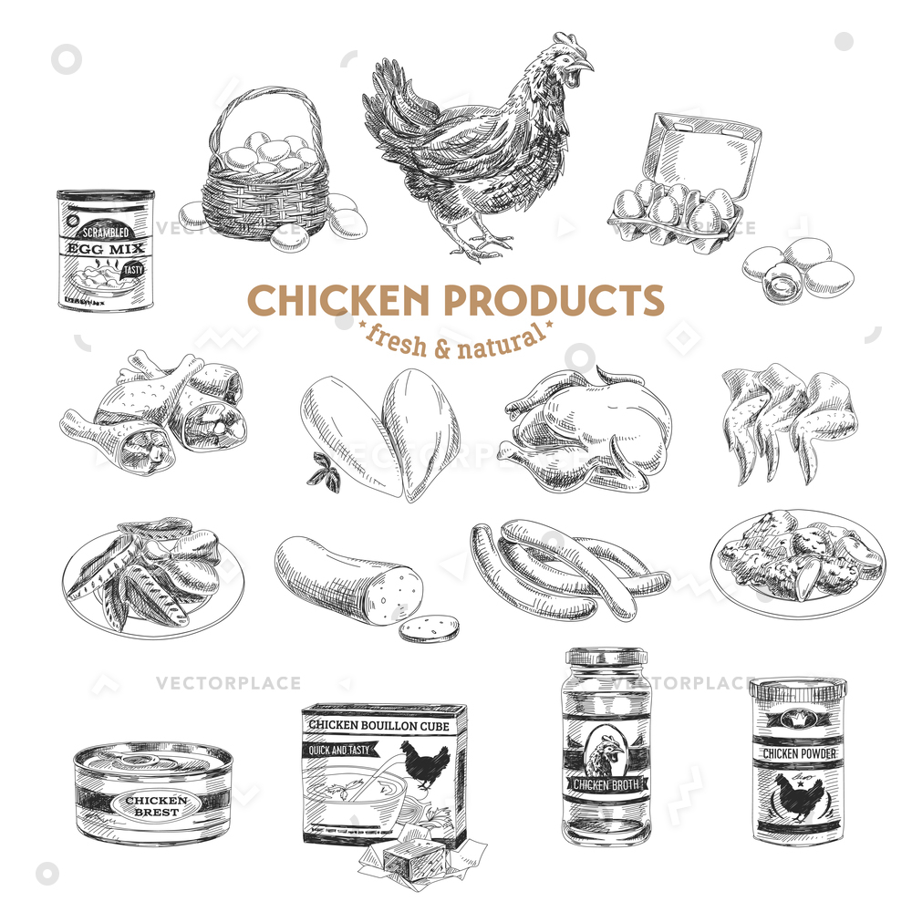 1000x1000 Hand Drawn Meat Products Chicken Sketch Vector Illustration 53403 - Chicken Sketch
