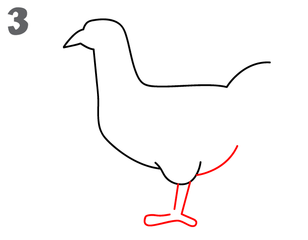 622x484 How To Draw A Chicken - Chicken Sketch