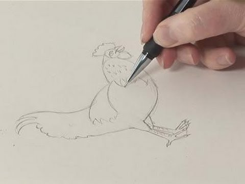 480x360 How To Sketch A Chicken - Chicken Sketch