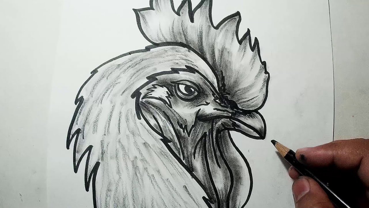 1280x720 How To Draw A Chicken Head Easy Sketch, Draw, Shade - Chicken Sketch