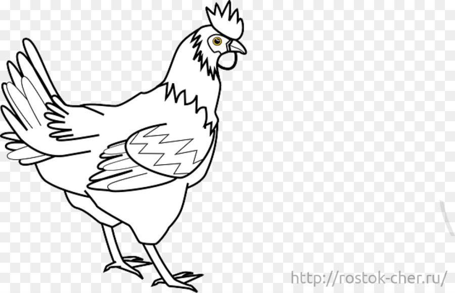 900x580 Silkie Rooster Coloring Book Clip Art - Chicken Sketch