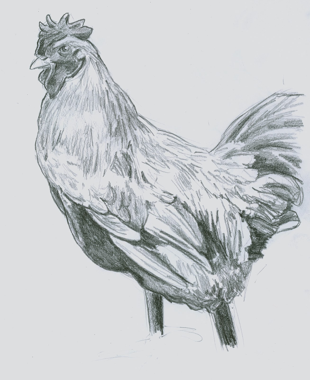 1308x1600 Art And Other Creative Type Madness A Chicken With No Feet And - Chicken Sketch