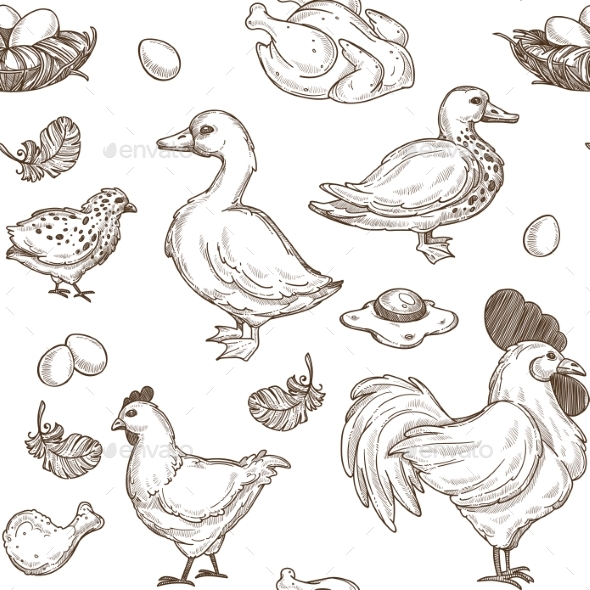 590x590 Chicken And Ducks Vector Sketch Pattern Background By Sonulkaster - Chicken Sketch