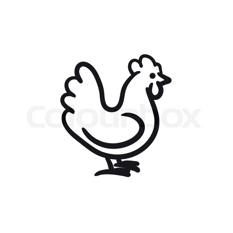 800x800 Chicken Sketch Icon For Web, Mobile And Infographics. Hand Drawn - Chicken Sketch