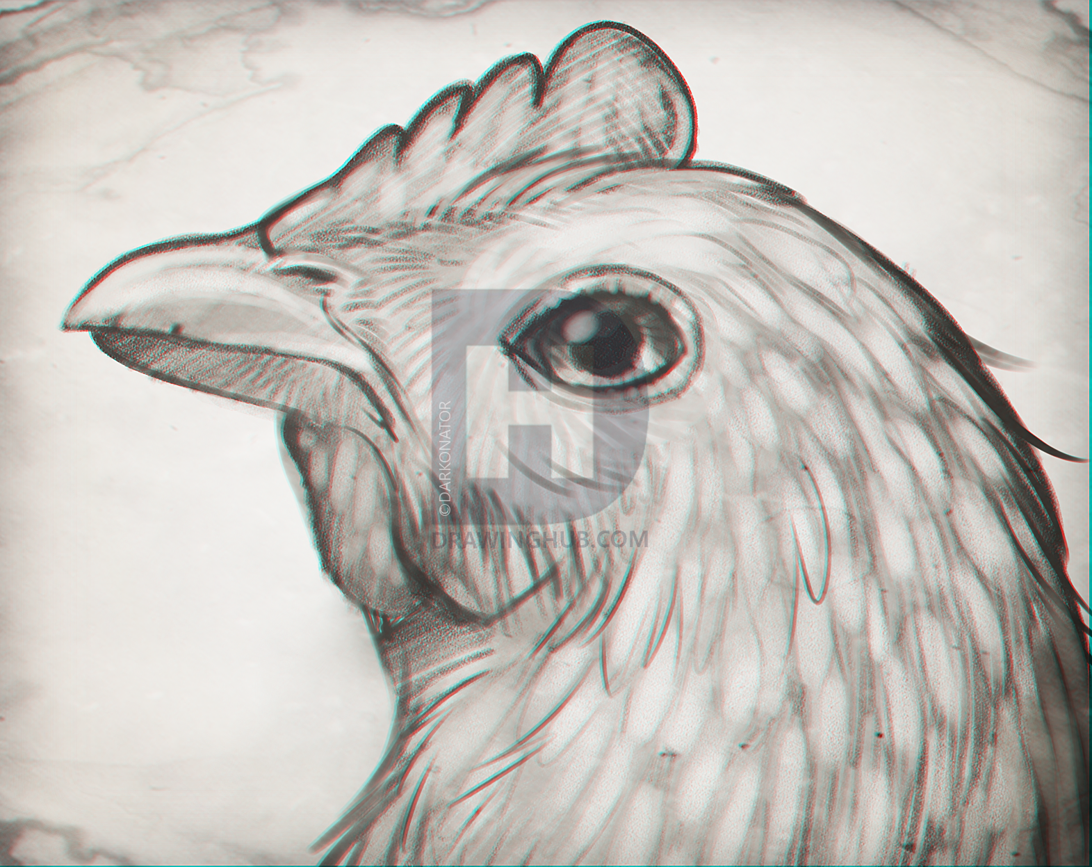 1571x1247 How To Sketch A Chicken, Step By Step, Drawing Guide, By - Chicken Sketch Drawing