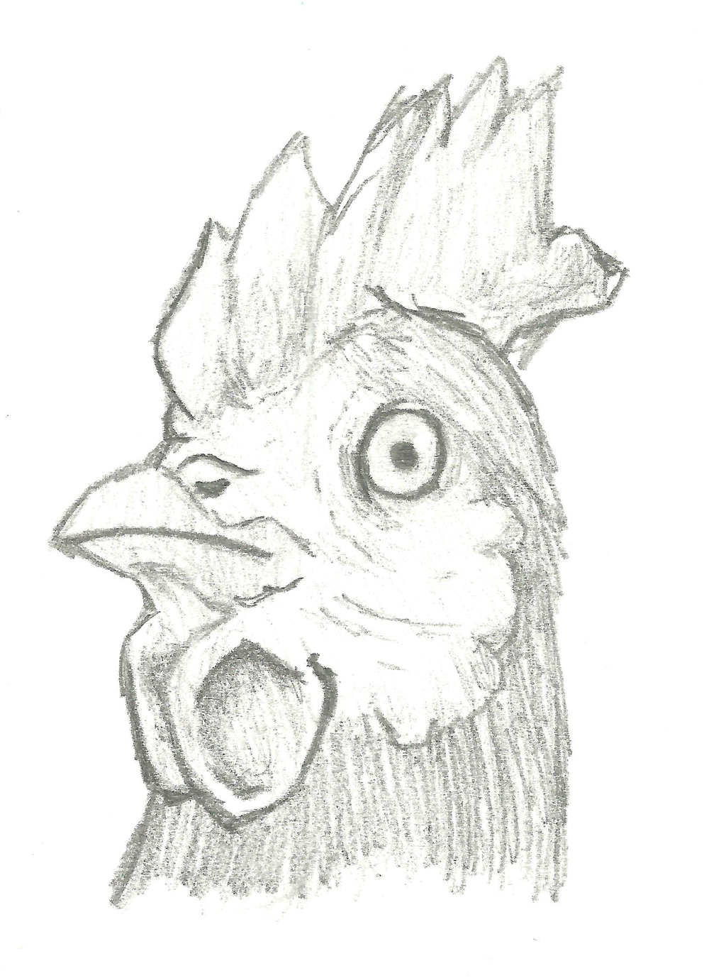 1024x1378 Chicken Sketches - Chicken Sketch Drawing