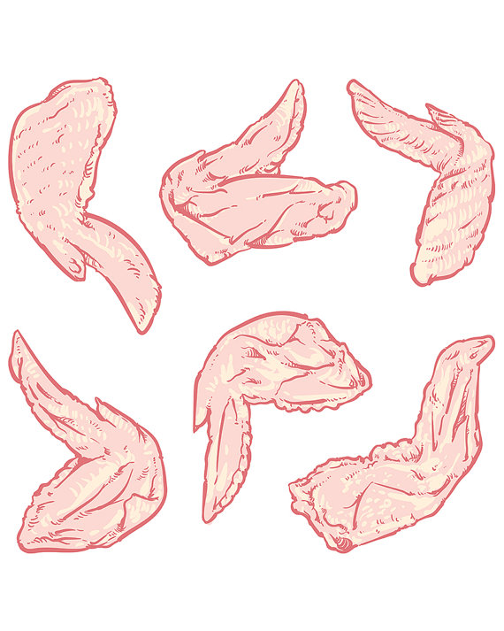 570x713 Chicken Wing Drawing On A White Background. Hand Drawn Chicken - Chicken Wing Sketch
